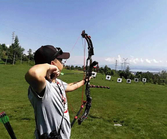 世界聚焦！滚球预测赛事全球收视创新高