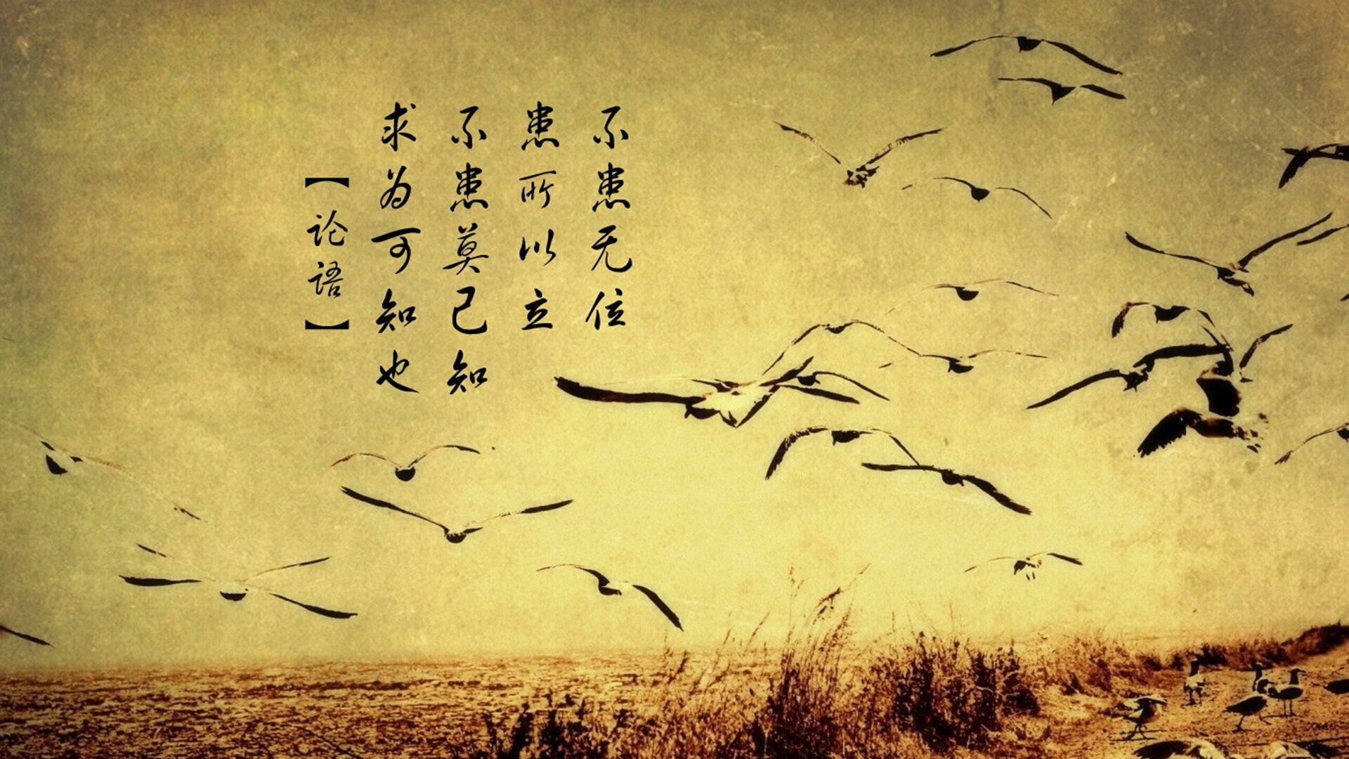 传奇与机器,莫德里奇的绝唱与德国战车的轰鸣