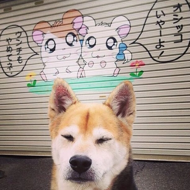 开云体育APP下载-世界排名争夺战之夜，当荣耀、汗水与代码同时为布伦森拉满