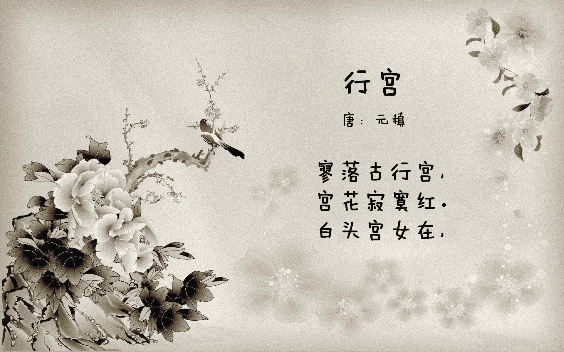 开云体育-魔术上演末节神奇，东契奇，真正巨星生于聚光灯下