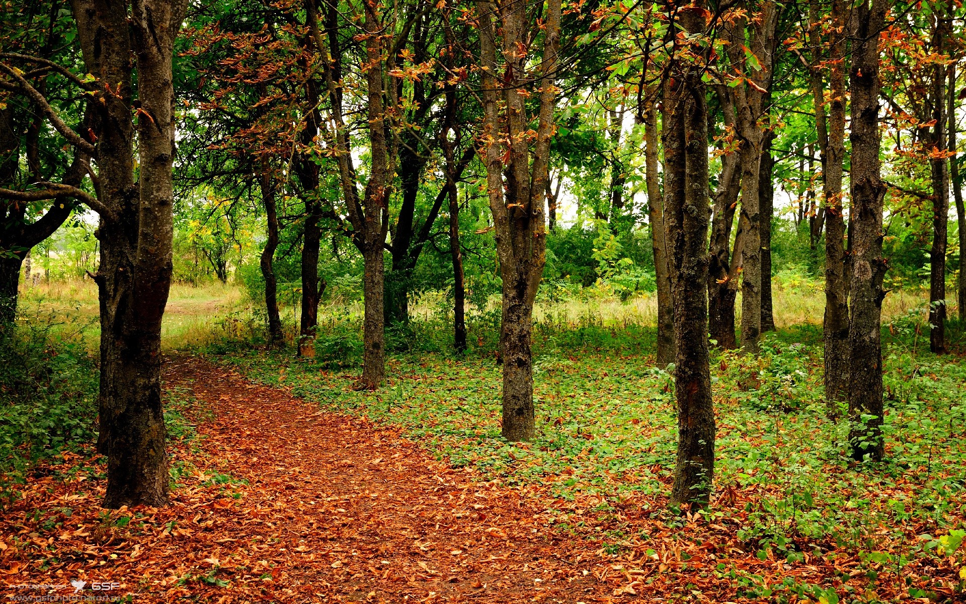 凯尔特人队史经典逆转,当文班亚马踩碎数据栏,绿军用最古老的方式赢下未来之战