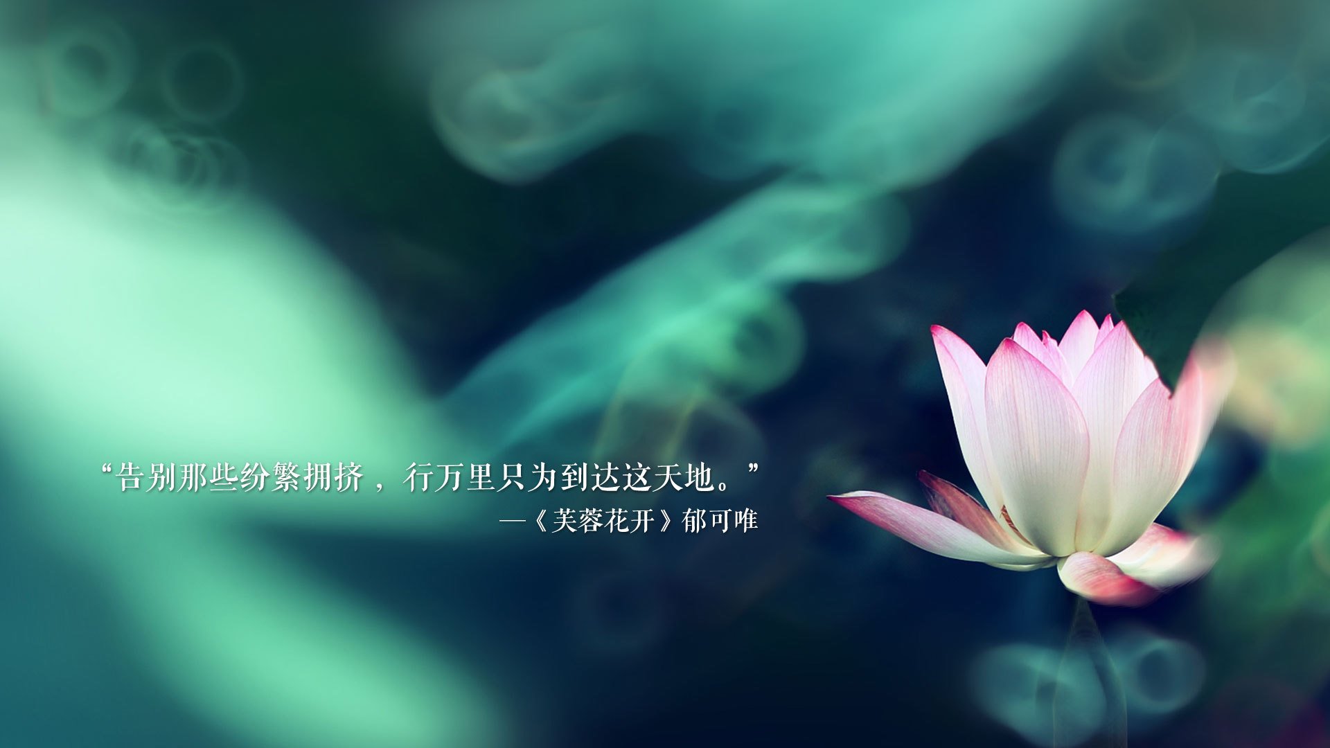 开云体育在线-炎之意志与临场神之一手，吉鲁不老传说领衔，伊拉克铁骑碾碎摩洛哥，E组上演世界杯最冷逆袭