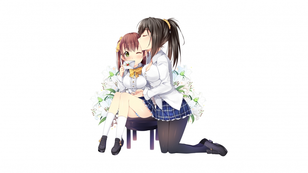 (方案)