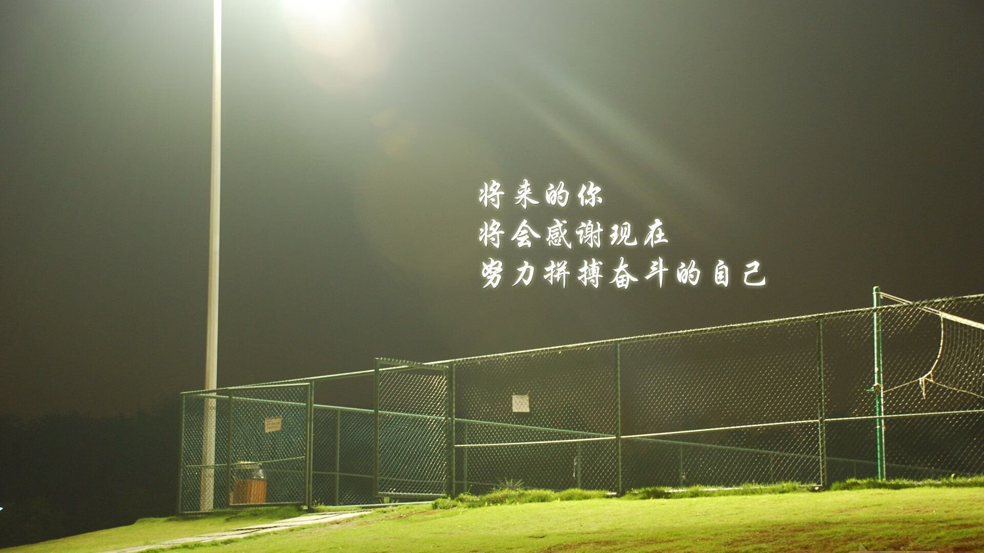 旧王陨落与新王登基，2026世界杯D组，一场名为日本风暴的加冕礼