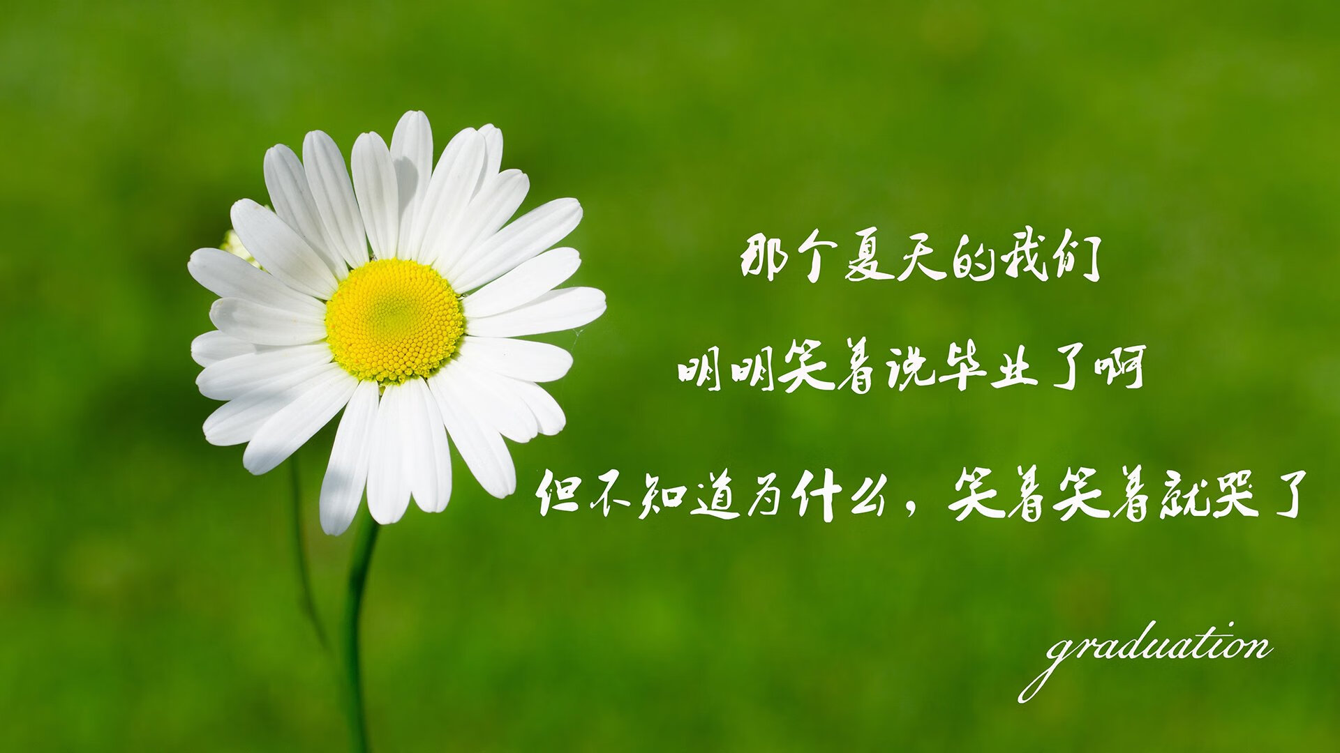 斗牛士穿心箭破局，B费独舞掀翻太极虎，2026世界杯D组暗藏最强杀机